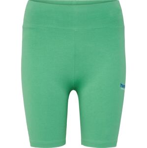 Hummel Športové nohavice 'Cameron'  enciánová / zelená