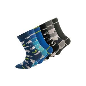 EWERS Ponožky  kobaltovomodrá / tmavosivá