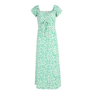Dorothy Perkins Tall Šaty  krémová / zelená / svetlozelená