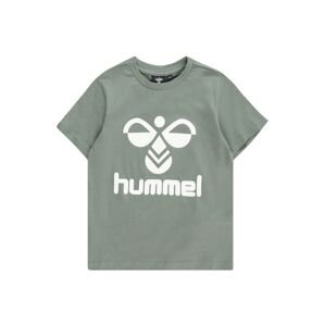 Hummel Funkčné tričko 'Tres'  zelená / biela