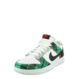 Nike Sportswear Nízke tenisky 'Nike Dunk Low Retro Premium'  biela