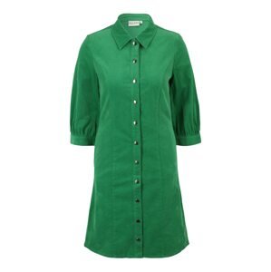 PULZ Jeans Košeľové šaty 'SALLY'  zelená