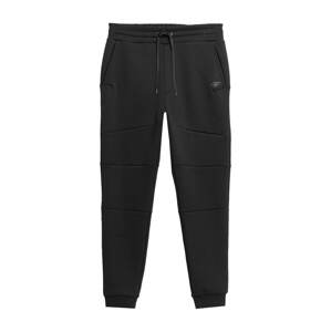 4F Športové nohavice 'CAS'  čierna