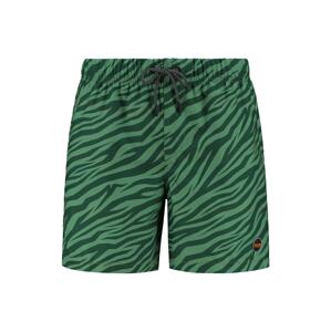 Shiwi Plavecké šortky  zelená / tmavozelená