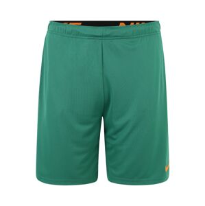 NIKE Športové nohavice  zelená / oranžová