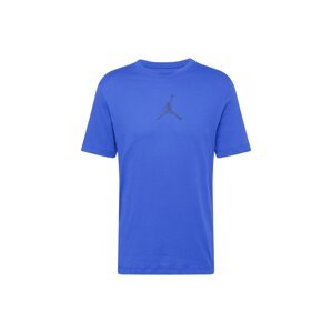 Jordan Funkčné tričko  neónovo fialová / tmavofialová