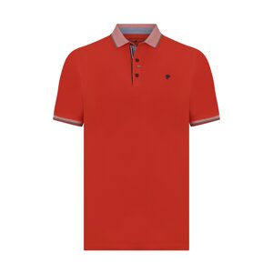 DENIM CULTURE Tričko 'Luigi'  hrdzavo červená / čierna / biela