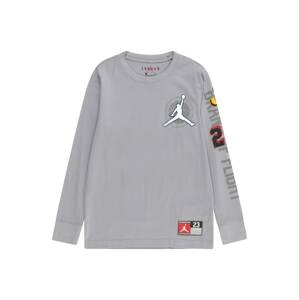 Jordan Tričko  sivá / zmiešané farby
