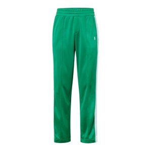 BJÖRN BORG Športové nohavice 'ACE'  zelená / biela