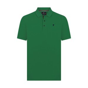 DENIM CULTURE Tričko 'TADAS'  zelená