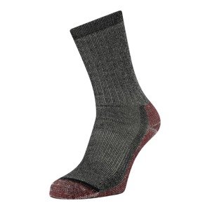 Smartwool Športové ponožky  tmavočervená / čierna melírovaná
