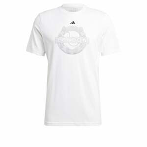 ADIDAS PERFORMANCE Funkčné tričko 'Aeroready Graphic'  svetlosivá / biela