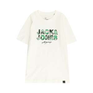 Jack & Jones Junior Tričko 'TULUM'  zelená / ružová / čierna / biela