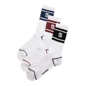 Pull&Bear Ponožky  námornícka modrá / bordová / čierna / biela