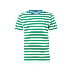 Polo Ralph Lauren Tričko  modrá / zelená / malinová / biela