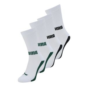PUMA Športové ponožky  smaragdová / čierna / biela