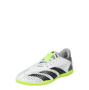 ADIDAS PERFORMANCE Športová obuv 'Predator Accuracy.4 Indoor Sala'  svetlozelená / čierna / biela