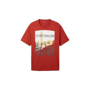 TOM TAILOR Men + Tričko  béžová / hnedá / červená / biela