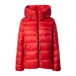 ESPRIT Zimná bunda  červená
