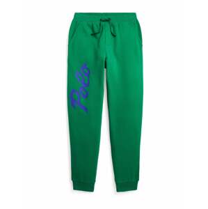 Polo Ralph Lauren Nohavice  kráľovská modrá / zelená