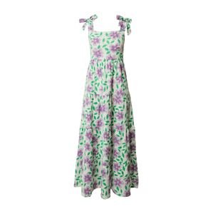 Dorothy Perkins Letné šaty  zelená / orgovánová / biela