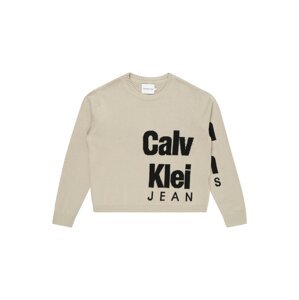 Calvin Klein Jeans Sveter  sivobéžová / čierna