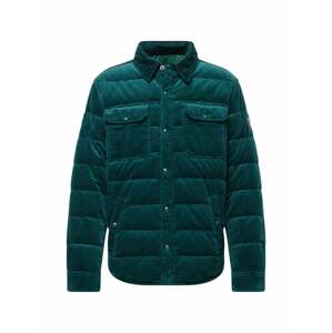 Polo Ralph Lauren Prechodná bunda 'TERRA'  smaragdová