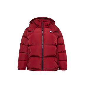 Tommy Jeans Curve Zimná bunda 'Alaska'  tmavomodrá / červená / biela