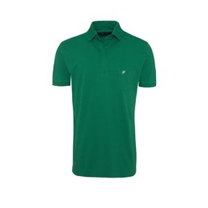 DENIM CULTURE Tričko ' ALARIC '  zelená / biela