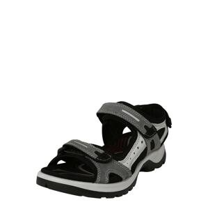 ECCO Trekingové sandále  sivá / čierna / svetlosivá
