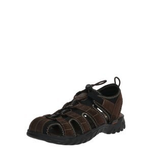 Dockers by Gerli Trekingové sandále  čokoládová / čierna