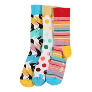 Happy Socks Ponožky 'Pride Gift Box'  zmiešané farby