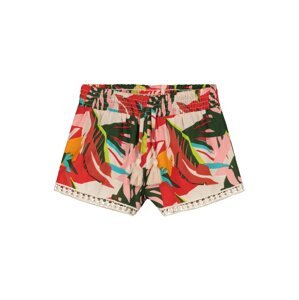 Shiwi Shorts 'Frangipani'  zmiešané farby