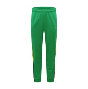 ADIDAS ORIGINALS Nohavice  čierna / zelená / žltá