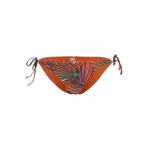 Shiwi Bikinihose 'Tiger'  zmiešané farby / tmavooranžová