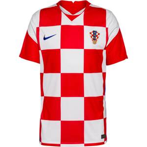 NIKE Dres 'Kroatien 2021'  svetločervená / šedobiela / modrá / zlatá