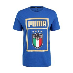 PUMA Funkčné tričko  modrá / zmiešané farby
