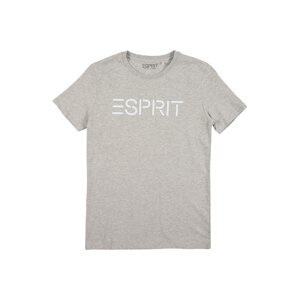 ESPRIT Tričko  svetlosivá / biela