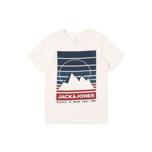 Jack & Jones Junior Tričko 'DEHSEL'  biela / zmiešané farby