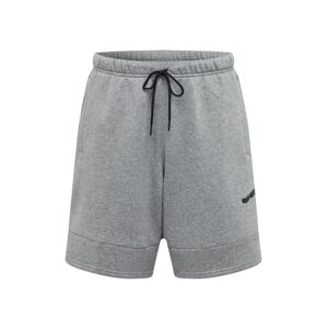 Jordan Športové nohavice  sivá / čierna