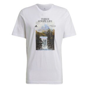 ADIDAS PERFORMANCE Funkčné tričko 'Mountain'  zmiešané farby / biela