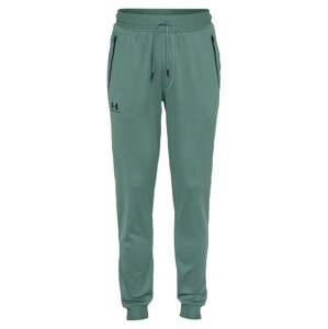 UNDER ARMOUR Športové nohavice  smaragdová / čierna