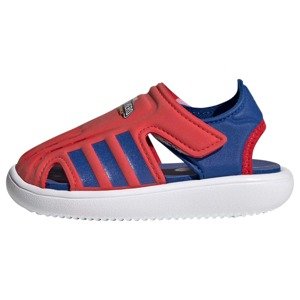 ADIDAS PERFORMANCE Plážové / kúpacie topánky  červená / modrá