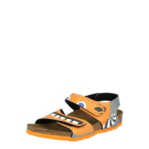 BIRKENSTOCK Otvorená obuv 'Palu'  oranžová / sivá / biela / kráľovská modrá / mätová