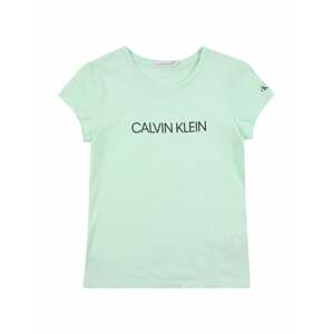 Calvin Klein Jeans Tričko 'Institutional'  pastelovo zelená / čierna
