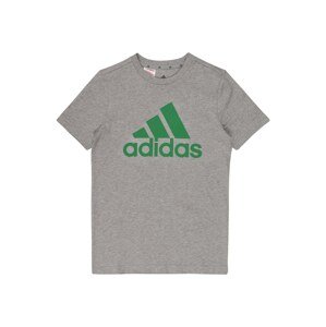 ADIDAS PERFORMANCE Funkčné tričko  sivá / zelená