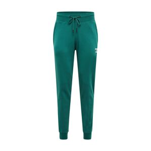 Superdry Športové nohavice  zelená