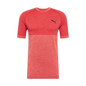 PUMA Funkčné tričko 'Evoknit'  jasne červená / červená melírovaná