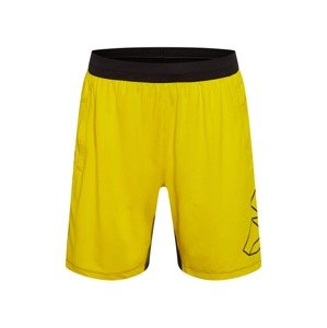 ADIDAS PERFORMANCE Športové nohavice 'FB HYPE'  žltá / čierna