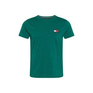 TOMMY HILFIGER Tričko  zelená / biela / námornícka modrá / červená